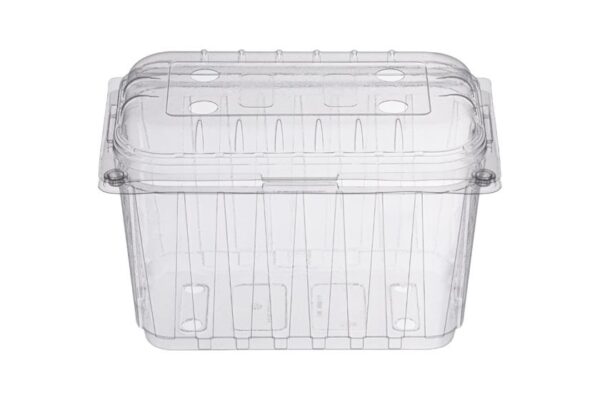 PET Oval Fruit Container 1000 ml. with Hinged Lid | Intertan S.A.