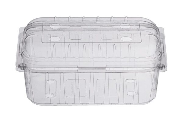 PET Oval Fruit Container 250 ml. with Hinged Lid | Intertan S.A.