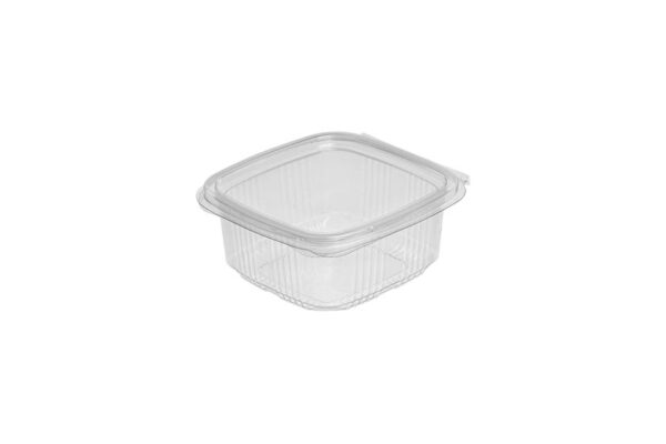 PET Rectangular Food Container 250 ml with Hinged Flat Lid | Intertan S.A.