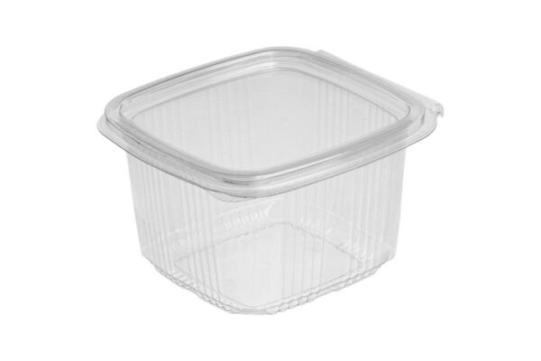 PET Rectangular Food Containers 375 ml with Hinged Flat Lid | Intertan S.A.