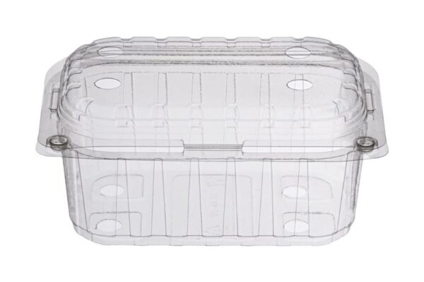 PET Oval Fruit Container 500 ml. with Hinged Lid | Intertan S.A.