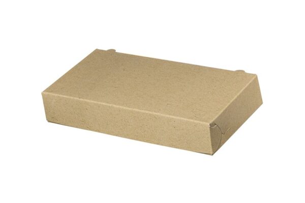 Food Boxes with Metalised PET T24 (25x13x4.5) KRAFT DESIGN 10KG | Intertan S.A.