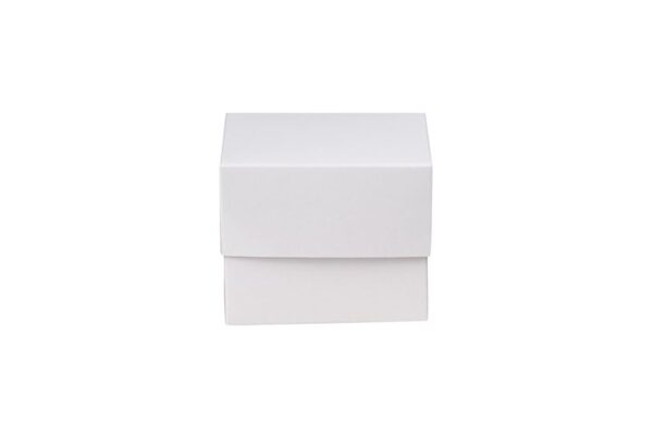 Λευκό Κουτί Ζαχ/πλαστικής με Εσωτερική Επίστρωση Metalised PET Κ2 | ΙΝΤΕΡΤΑΝ Α.Ε.
